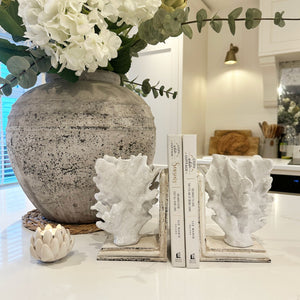 Coral Bookends view 6