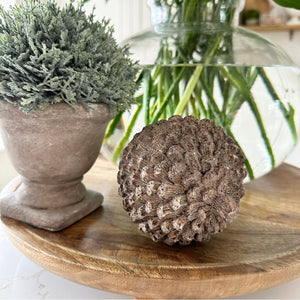 Stone Pinecone view 5