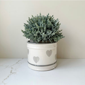 Heart Plant Pot- Small view 2
