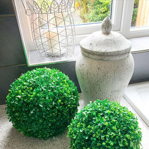 Buxus Ball view 5