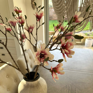 Magnolia Stem view 4