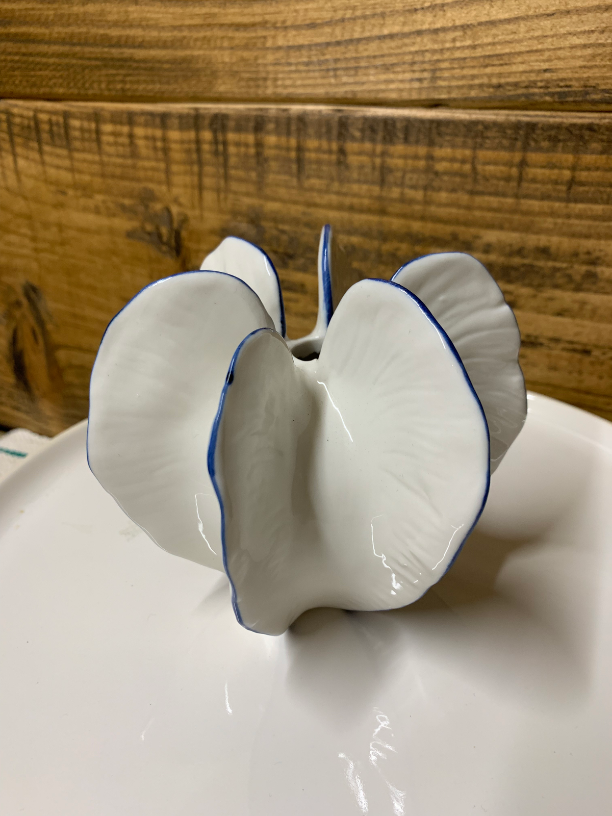 Mini Seed Pod Vase