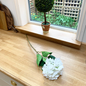 White Hydrangea Stem view 3