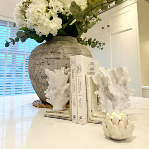 Coral Bookends view 4