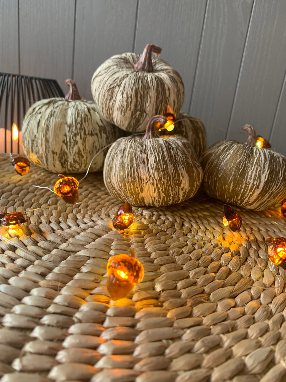 Acorn Lights