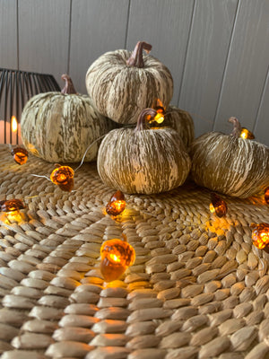 Acorn Lights view 1