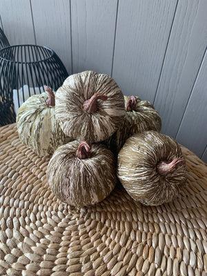 Striped Pumpkins view 3