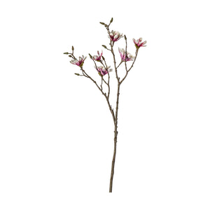 Magnolia Stem view 5