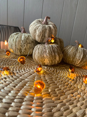 Striped Pumpkins view 4